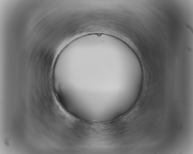 X0000102791536200809081038