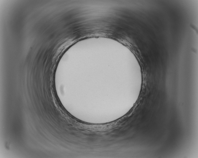 X0000102790001200809151135