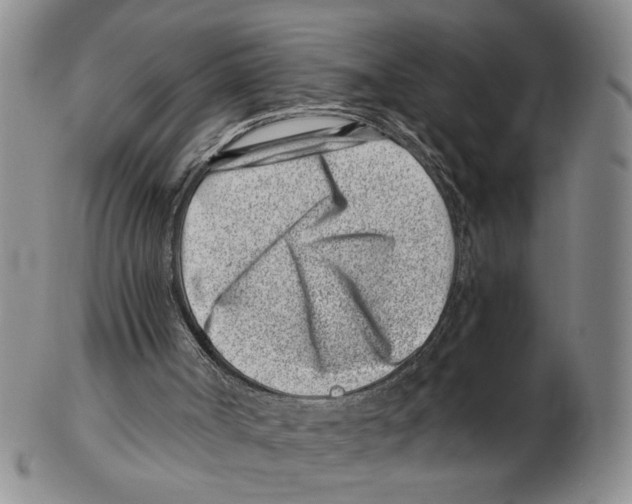 X0000102790002200809151135