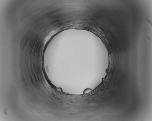 X0000102790003200809151135