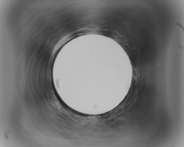 X0000102790004200809151135