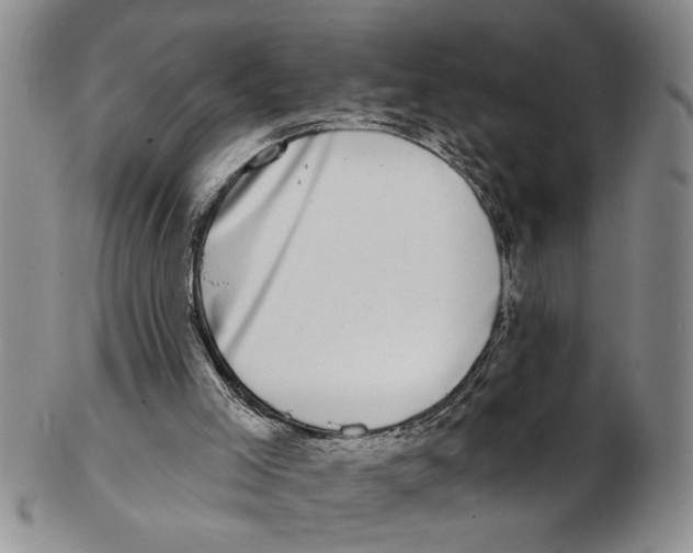 X0000102790005200809151135