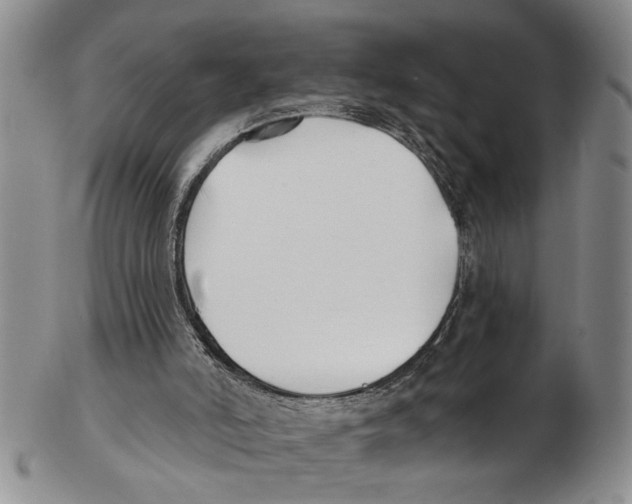 X0000102790006200809151135