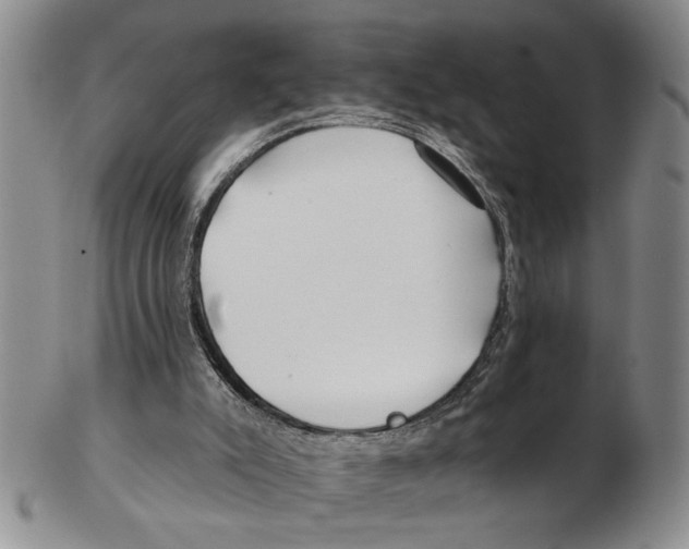 X0000102790007200809151135