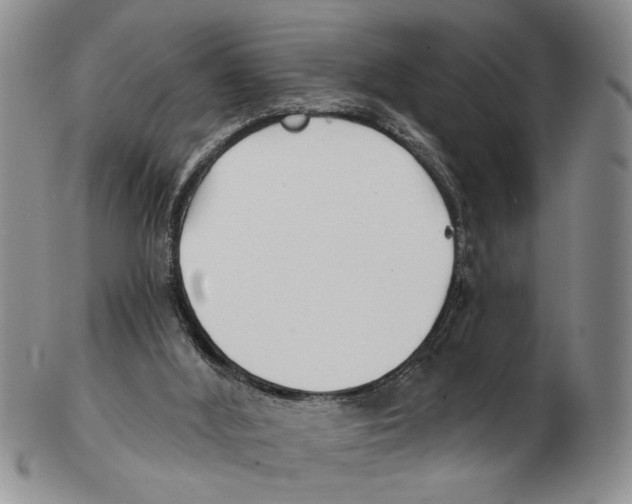 X0000102790012200809151135