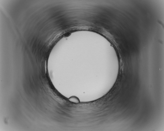 X0000102790013200809151135