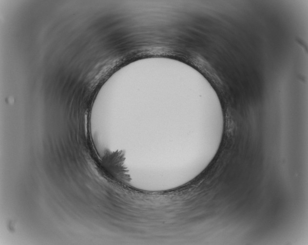 X0000102790014200809151135