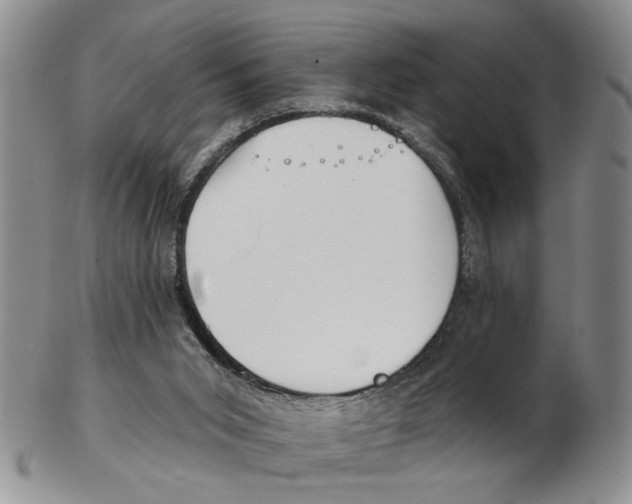 X0000102790015200809151135