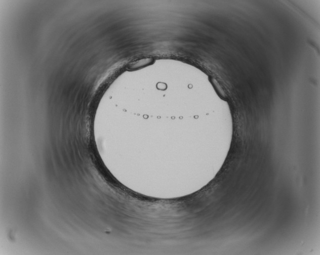 X0000102790016200809151135