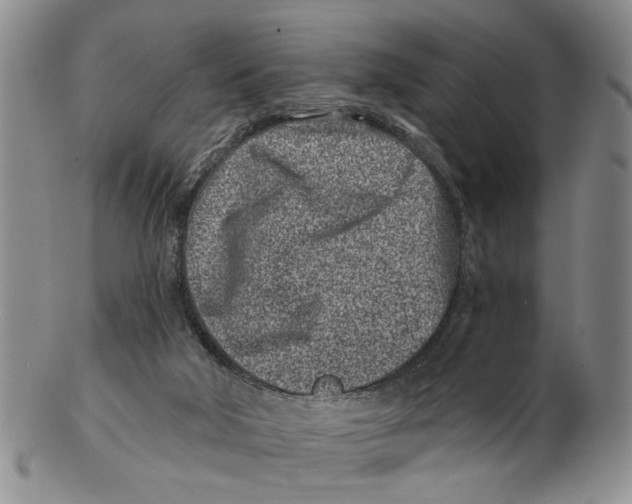 X0000102790018200809151135