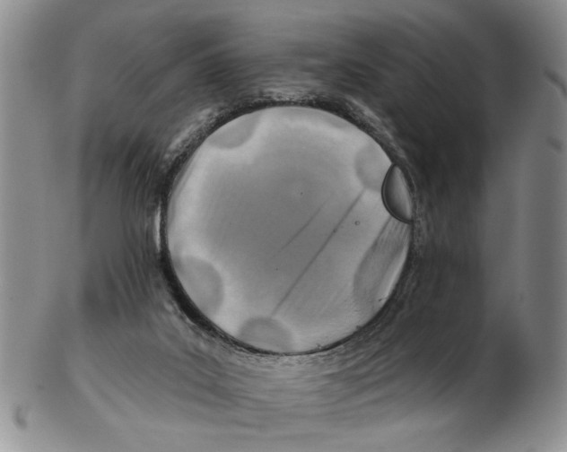 X0000102790019200809151135