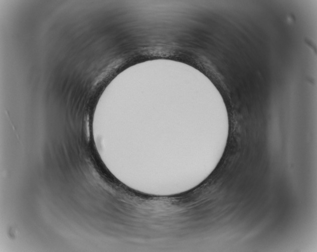 X0000102790020200809151135