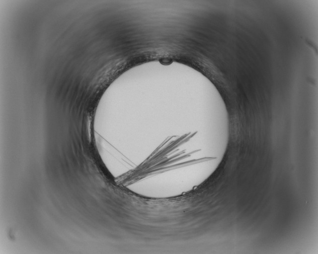 X0000102790022200809151135