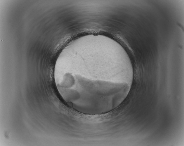 X0000102790023200809151135