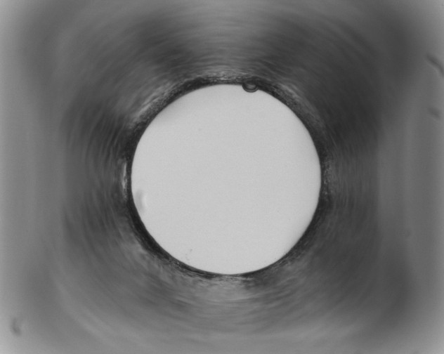 X0000102790024200809151135