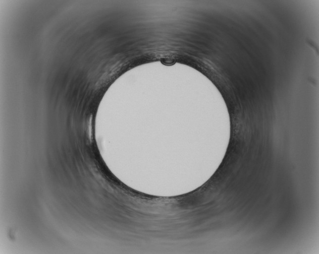 X0000102790028200809151135