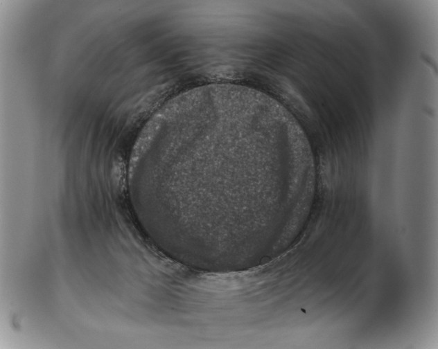 X0000102790029200809151135