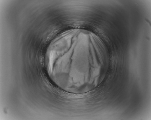 X0000102790031200809151135