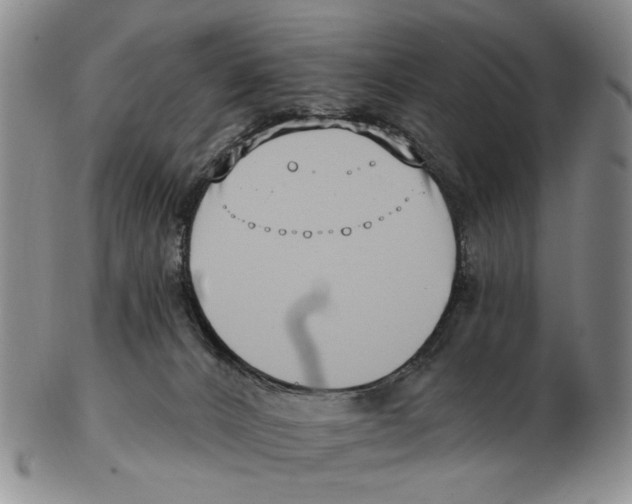 X0000102790032200809151135