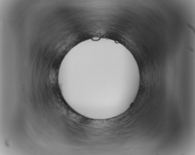 X0000102790037200809151135