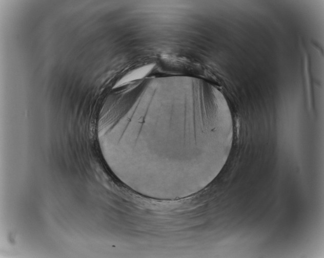 X0000102790039200809151135