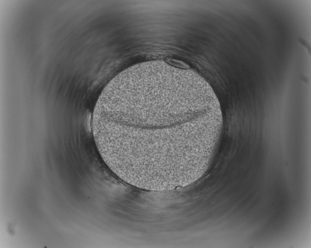 X0000102790041200809151135