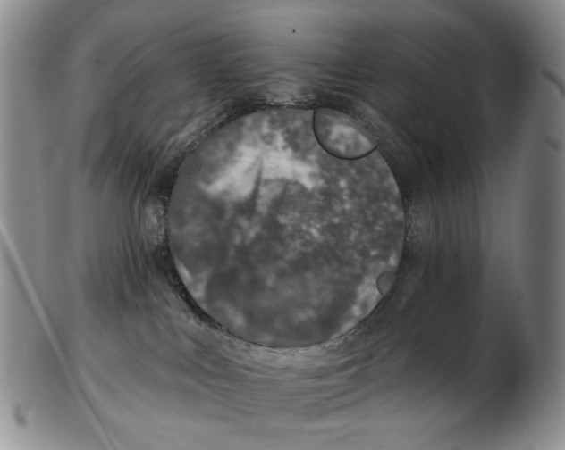 X0000102790043200809151135