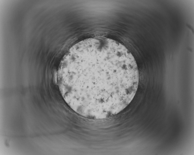 X0000102790046200809151135