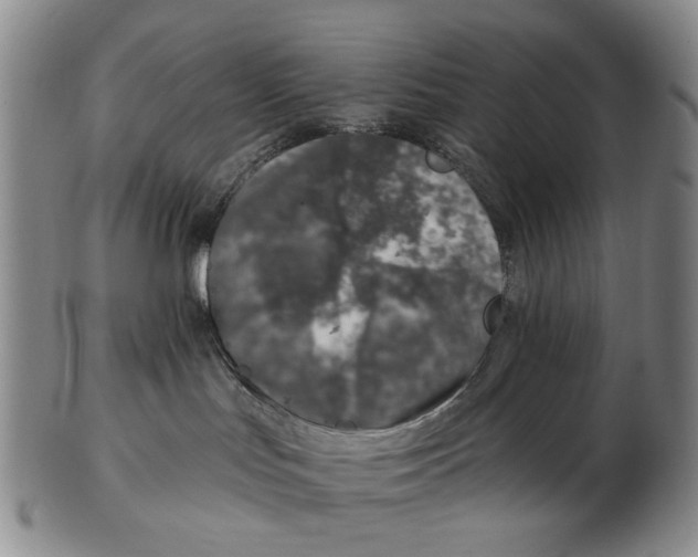 X0000102790047200809151135