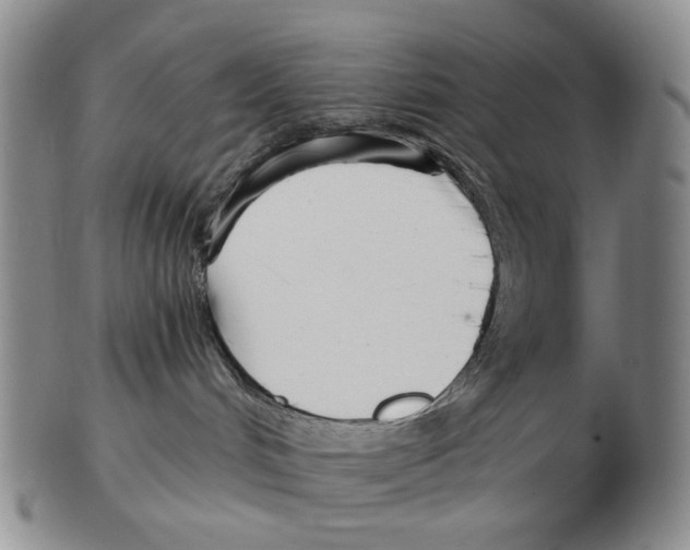 X0000102790048200809151135