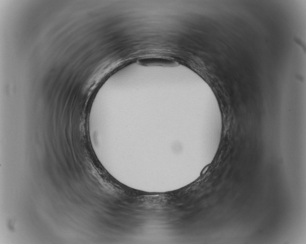 X0000102790050200809151134