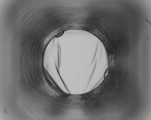 X0000102790051200809151134