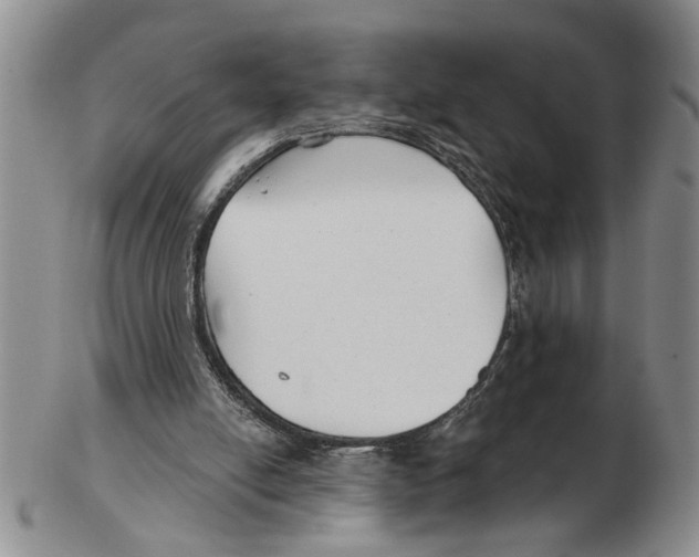 X0000102790054200809151134