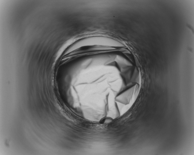 X0000102790056200809151134