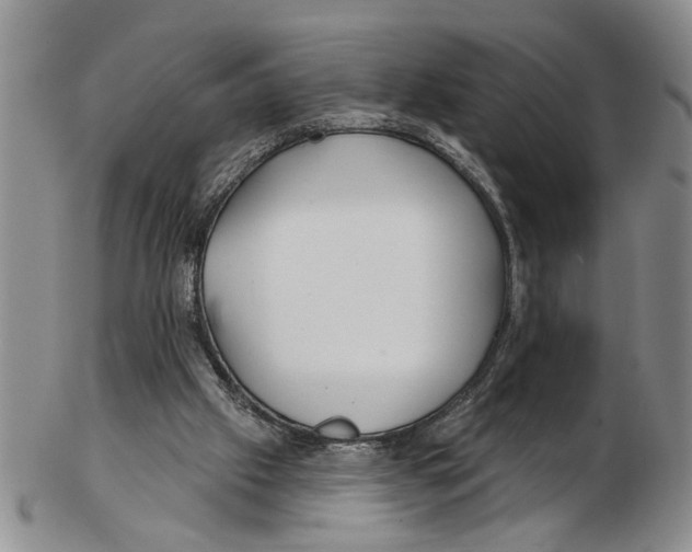 X0000102790057200809151134