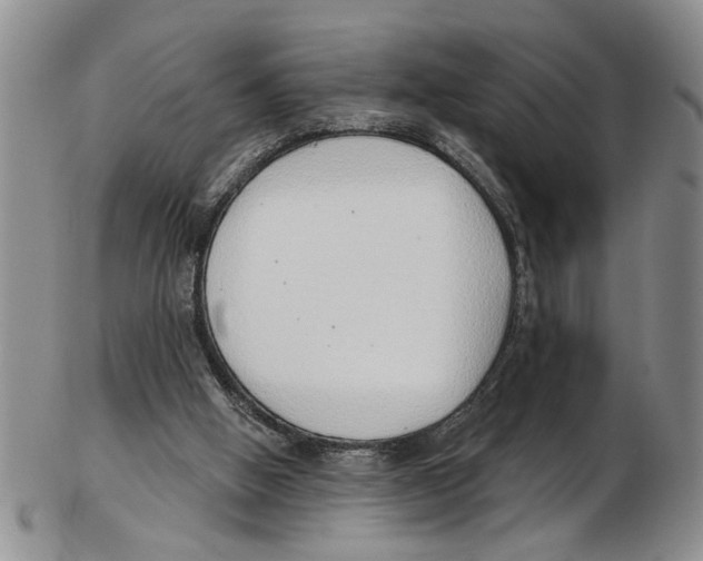 X0000102790058200809151134