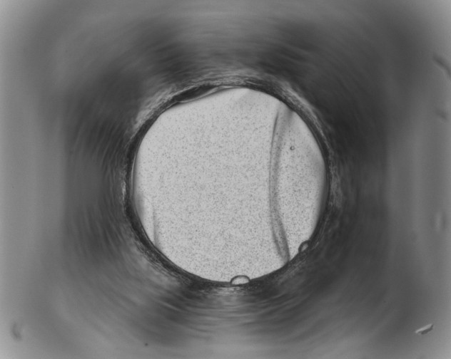 X0000102790059200809151134