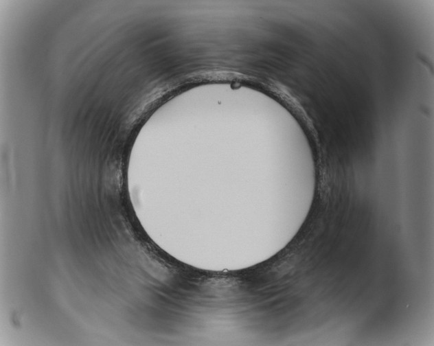 X0000102790063200809151134