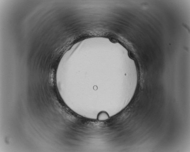 X0000102790065200809151134