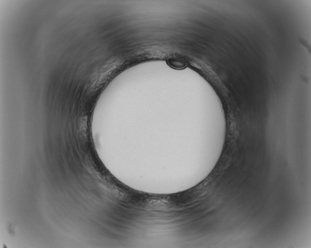 X0000102790066200809151134