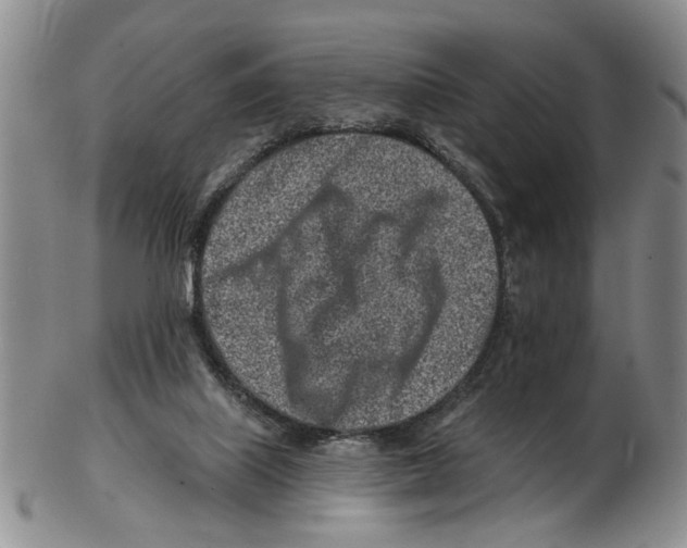 X0000102790067200809151134