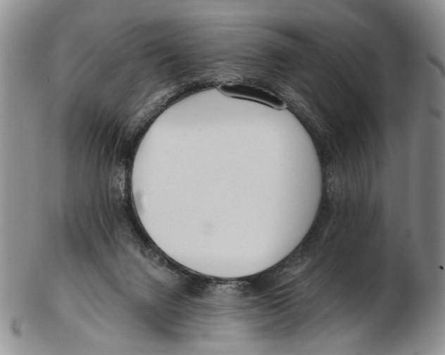 X0000102790072200809151134