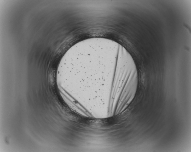 X0000102790074200809151134