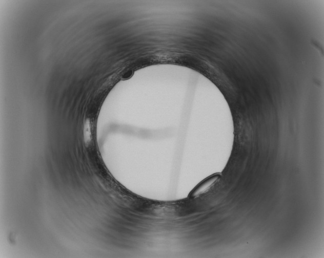 X0000102790075200809151134