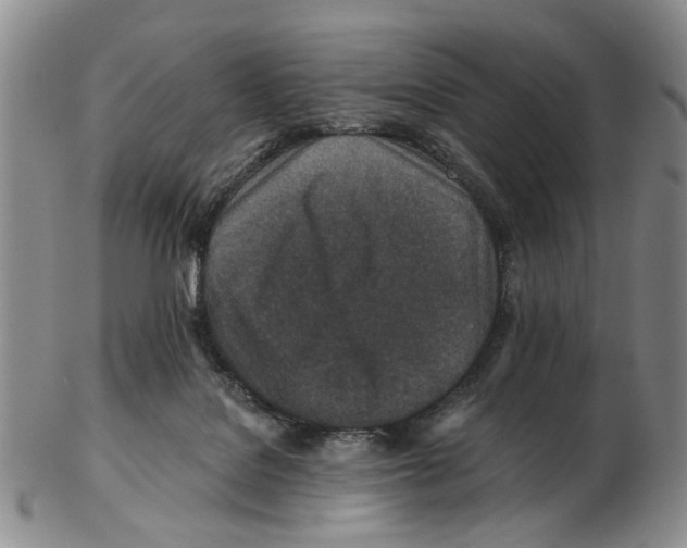 X0000102790076200809151134