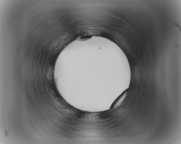 X0000102790078200809151134