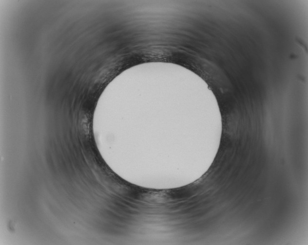 X0000102790086200809151134