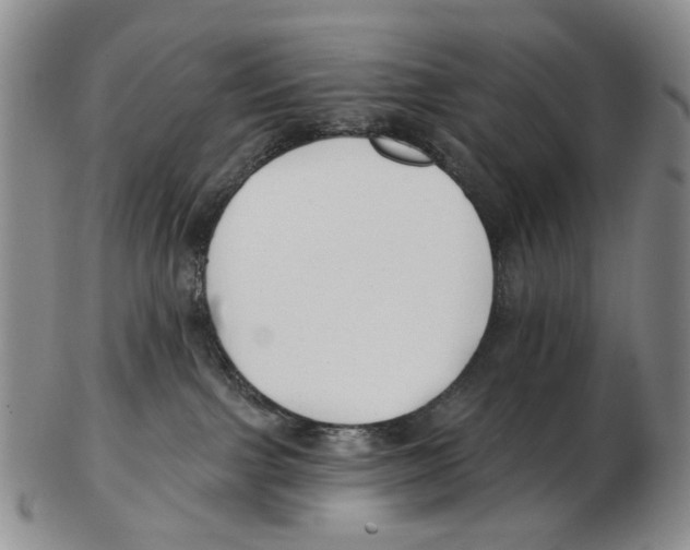 X0000102790091200809151135