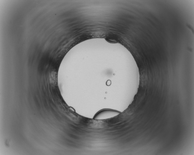 X0000102790093200809151135