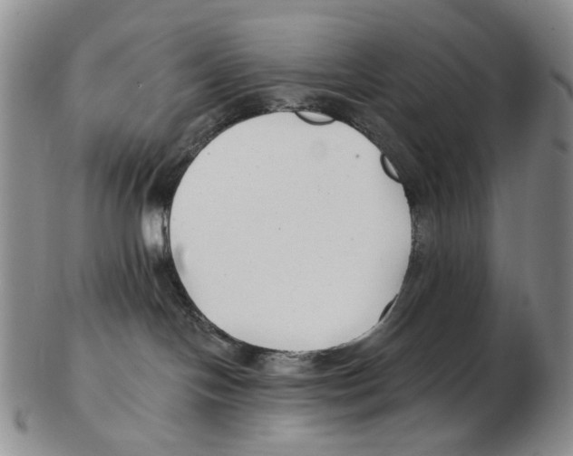 X0000102790094200809151135